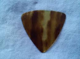 hawksbill turtle pick�� ���� �̹��� �˻����