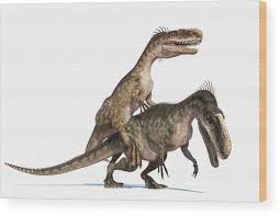 How did dinosaurs have sex? - Quora