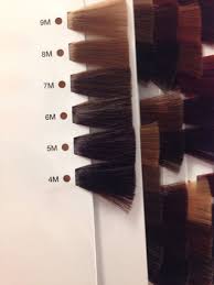 Matrix So Color Mocha Swatches In 2019 Matrix Hair Color