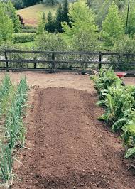 Removing the top layer of sod speeds up the process so you could be planting a little sooner. Double Digging Finegardening