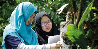 Kolej universiti sabah students can get immediate homework help and access over 200+ documents, study resources, practice tests, essays, notes and kolej universiti sabah documents (198). Degree University College Sabah Foundation