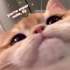 You Are Super Cute Cute Love Memes Cute Memes Love Memes