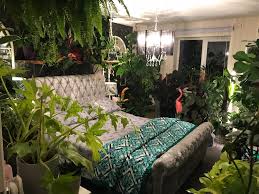 San francisco, california, united states about blog a place for the best about blog gardenstew is a friendly community for gardeners and home owners featuring active. I M Loving My Indoor Garden Right Now Indoorgarden