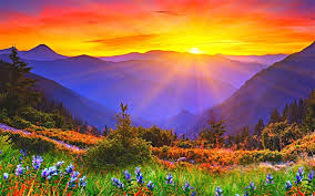 Papéis de Parede Nascer do sol, amanhecer, montanhas, grama, flores  2560x1920 HD imagem