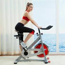 sunny pro indoor cycling exercise bike