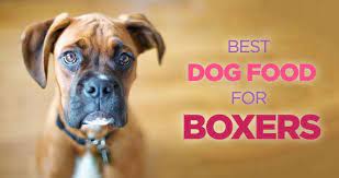 Best Dog Food For Boxers High Protein Diet Is The Key Best Dog Food Best Dogs Rich Dog