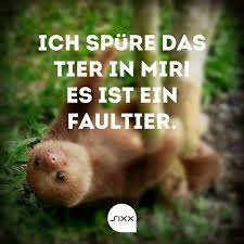 Ich Spure Das Tier In Mir Es Ist Ein Faultier Faultier Tiere Lustig Humor