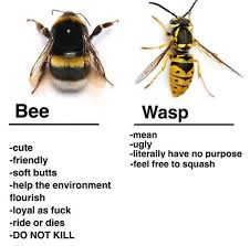 Once A Wasp Went Up My Skirt It Was Traumatizing Tags Danandphil Tumblr Music Fandom Doctorwho Sherlock Bbc Youtube M Bee Facts Bee Fun Facts