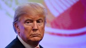 Shit LawStudents Say (@say_law)