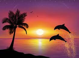 Evening meeting of lovers outdoors. One Dolphin Helps The Other Dolphin Search For Her Missing Contact Lens On The Beach Sunset Painting Dolphin Painting Silhouette Painting
