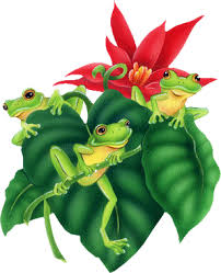 R�sultat de recherche d'images pour "image humoristique grenouille et muguet du 1er mai"