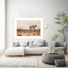 Home cactus, potted succulent desert plant for house decor. Joshua Tree Photography California Photograph Bohemian Home Decor Boho Print Nature Print Coachella Decor Desert Art Travel Photo By Wanderlustography Catch My Party