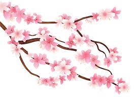 Gallery Recent Updates Flower Art Flower Painting Sakura Flower