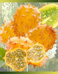 Decouvrez Ces Fruits Et Legumes Meconnus Je Cuisine Mon Potager Fruits Et Legumes Fruits Legumes