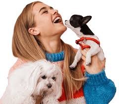 Maybe you would like to learn more about one of these? Pets 4 Life Pets 4 Life Pets 4 Life