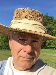 Cucumbers have a way of multiplying when you're not looking