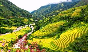 Image result for hình ảnh ha giang