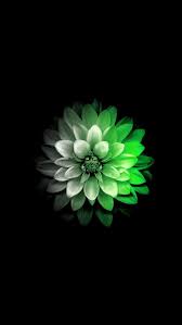 Pin Ot Polzovatelya Teresa Siereveld Ziska Na Doske Wallpapers Iphone Udivitelnye Risunki Cvety Lotosa Oboi