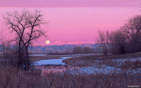 Hd wallpapers and background images Free Nature Wallpaper Aesthetic Pink Nature Background 1920x1200 Wallpaper Teahub Io