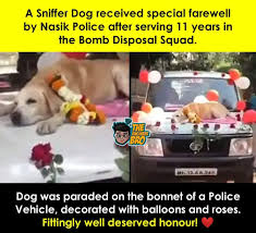 See more of dog meme on facebook. Facebook
