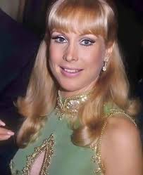 Never understood the dislike for Barbara. Talented actress and a real  beauty. I guess to each their own...