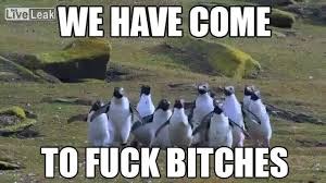 You Just Have To Say That You Re Fine Meme Gif Https Encrypted Tbn0 Gstatic Com Images Q Tbn 3aand9gcruvb8h4vp2k Dgak13m56asscx3l Q7j3xpw Usqp Cau