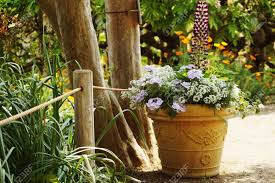 Pretty flower pots will look absolutely wonderful in your porch besides the front entry door and will create a pleasant effect. Flower Pot Decoration On The Front Door Of The House Stock Photo Picture And Royalty Free Image Image 142567199