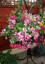 Container Gardening Diy Container Gardening Container Flowers Flower Pot Garden