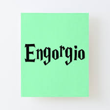 Engorgio Art Board Print for Sale by Ahmira A | Redbubble