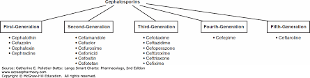 Antimicrobial Medications Lange Smart Charts Pharmacology