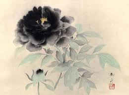 asian art 速水御舟 hayami gyoshu 1894 1935 牡丹花 墨牡丹 black アートのアイデア アジアのアート 花 描き方