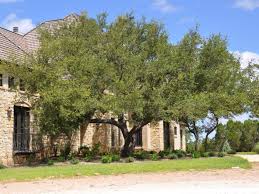 Check spelling or type a new query. How To Become An Arborist In Texas Arxiusarquitectura