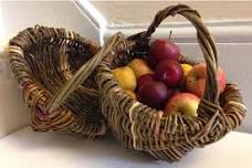 Willow Foraging Basket