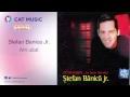 18 octombrie 1967, bucurești, rs românia) este un actor, compozitor, cântăreț, regizor, producător și moderator tv român de origine romă. È™tefan BÄƒnicÄƒ Jr Discography Discogs