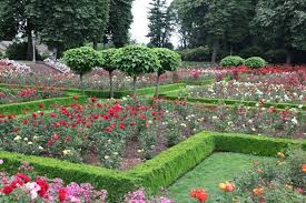 A Classic Rose Garden Rose Garden Design Rose Garden Landscape Rose Garden Portland
