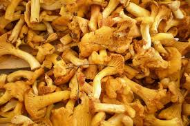 Ricette Per Cucinare I Finferli Dissapore