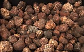 Image result for Walleria nutans