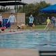 Doggie Dive In