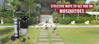 Many assume that the only way to get rid of mosquitoes during the warmer months is either to coat their bodies with mosquito repellent (that is usually sticky and smelly) or to use a mosquito fogger. Mosquito Control Easy Methods To Get Rid Off Mosquitoes From Your Yard Permanently Best Mosquito Killer Machine In India Mosquito Killing Machine Mosquito Free World