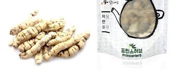 Image result for Cynanchum ledermannii