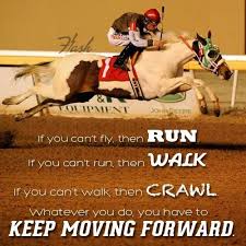 Horse inspiration #wednesdaywisdom horse inspirational quotes! If You Can T Fly Inspirational Horse Quotes Country Girl Quotes Horse Quotes