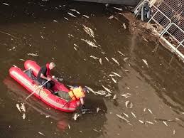 Porno türk sotwe zorla showed up and afterwards was led to