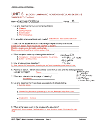 Image result for Cardiovascular Worksheets