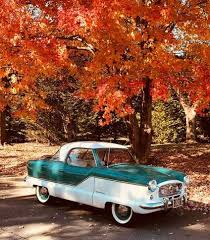 Image result for Autumn Leaf Beige 1931 Nash