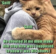 Pin On Animal Humour