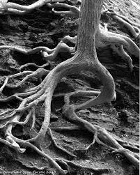 Black And White Abstract Photography Black And White Nature Photography Abstract Photography Wall Art Fine Art Photography On Etsy 20 Abstract Photography Nature Photography Art Photography