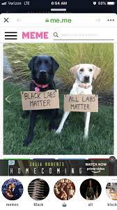 Pin By Lynne Maccall On Great Quotes Black Labs Matter Black Labs Animals