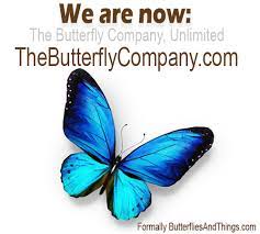 We did not find results for: The Butterfly Company Butterfly Gifts Buy Butterflies Butterfly