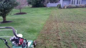 The snow has melted and it's a tradition; Dethatching Vancouver Wa Urban Eden Landscaping