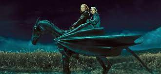 We did not find results for: Harry Potter Update Characters Who Have Probably Seen The Thestrals Animated Times